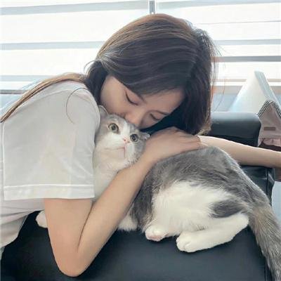 科学怪人的诅咒