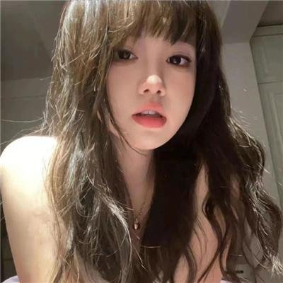 模范警察